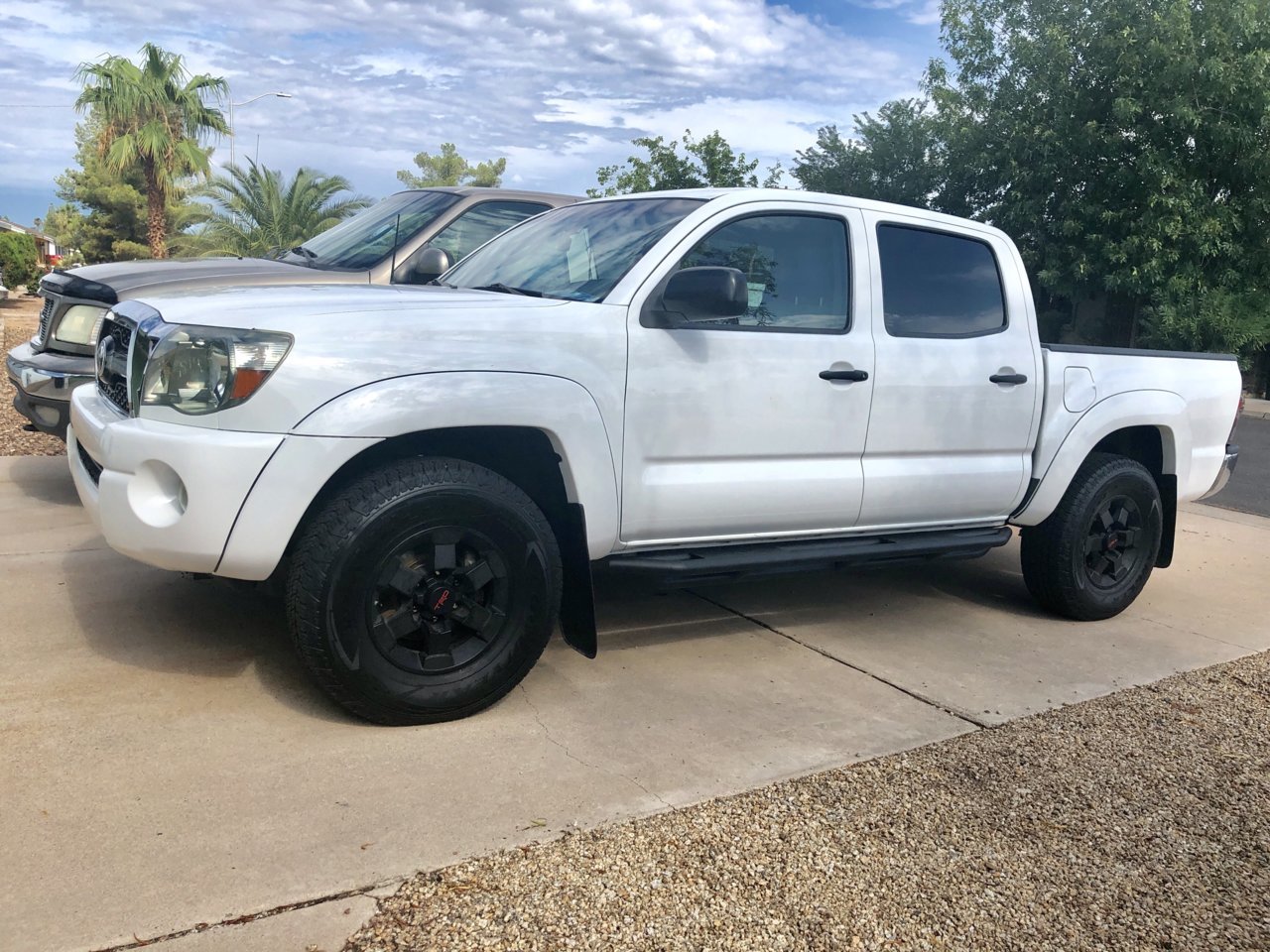 Nerf Bars Tacoma World