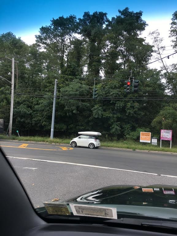 0.jpg