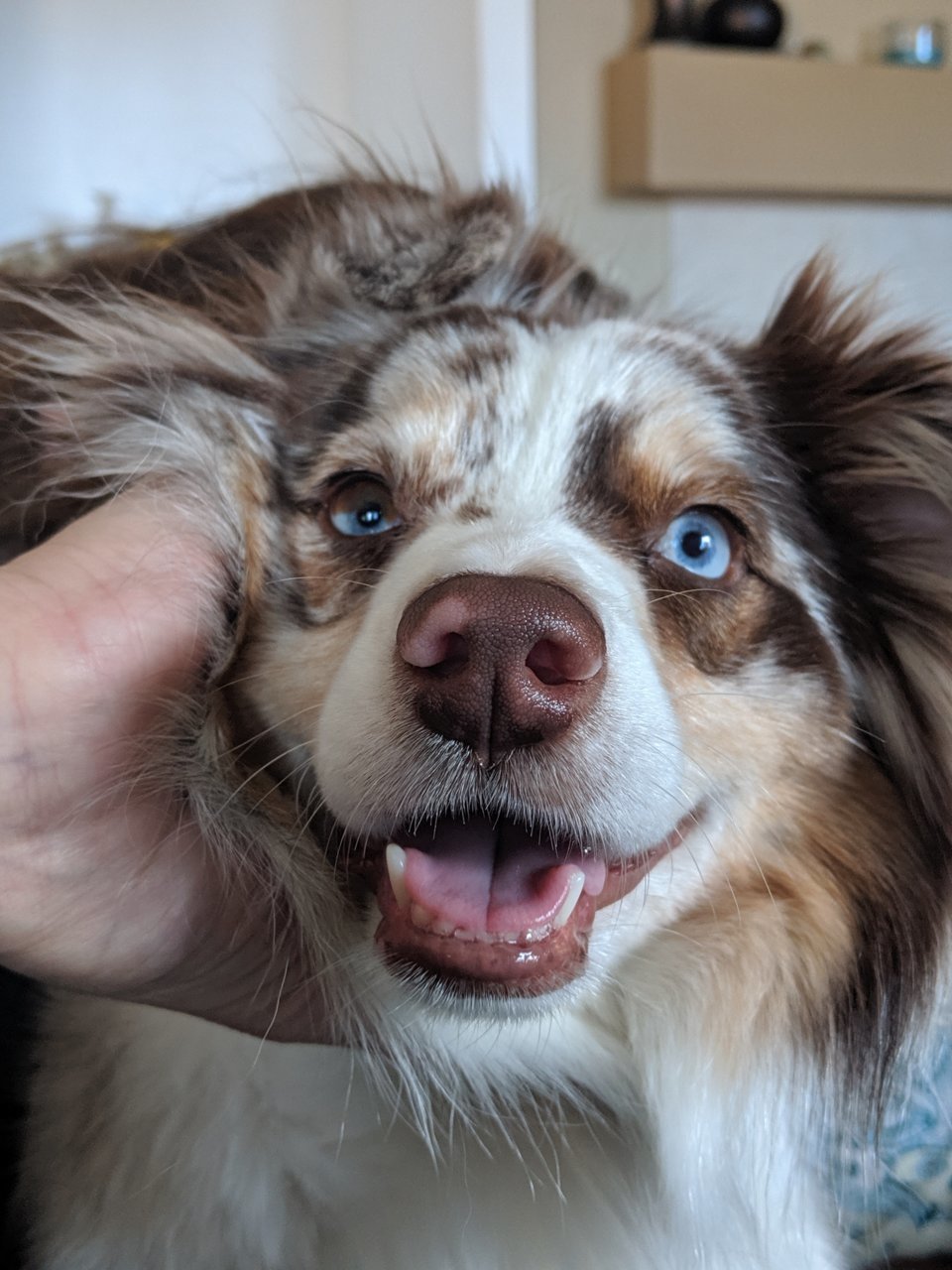 00000PORTRAIT_00000_BURST20190615083059655.jpg