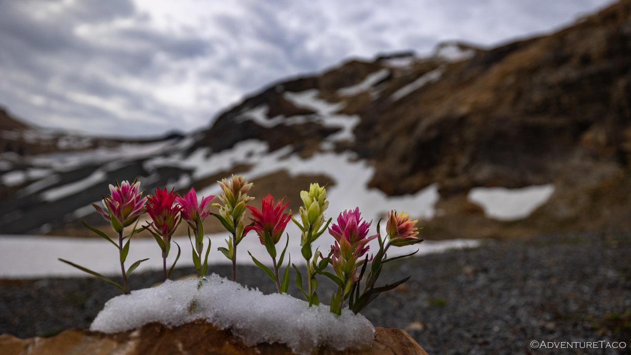 00002 - 2022-08-10 - glacier.jpg