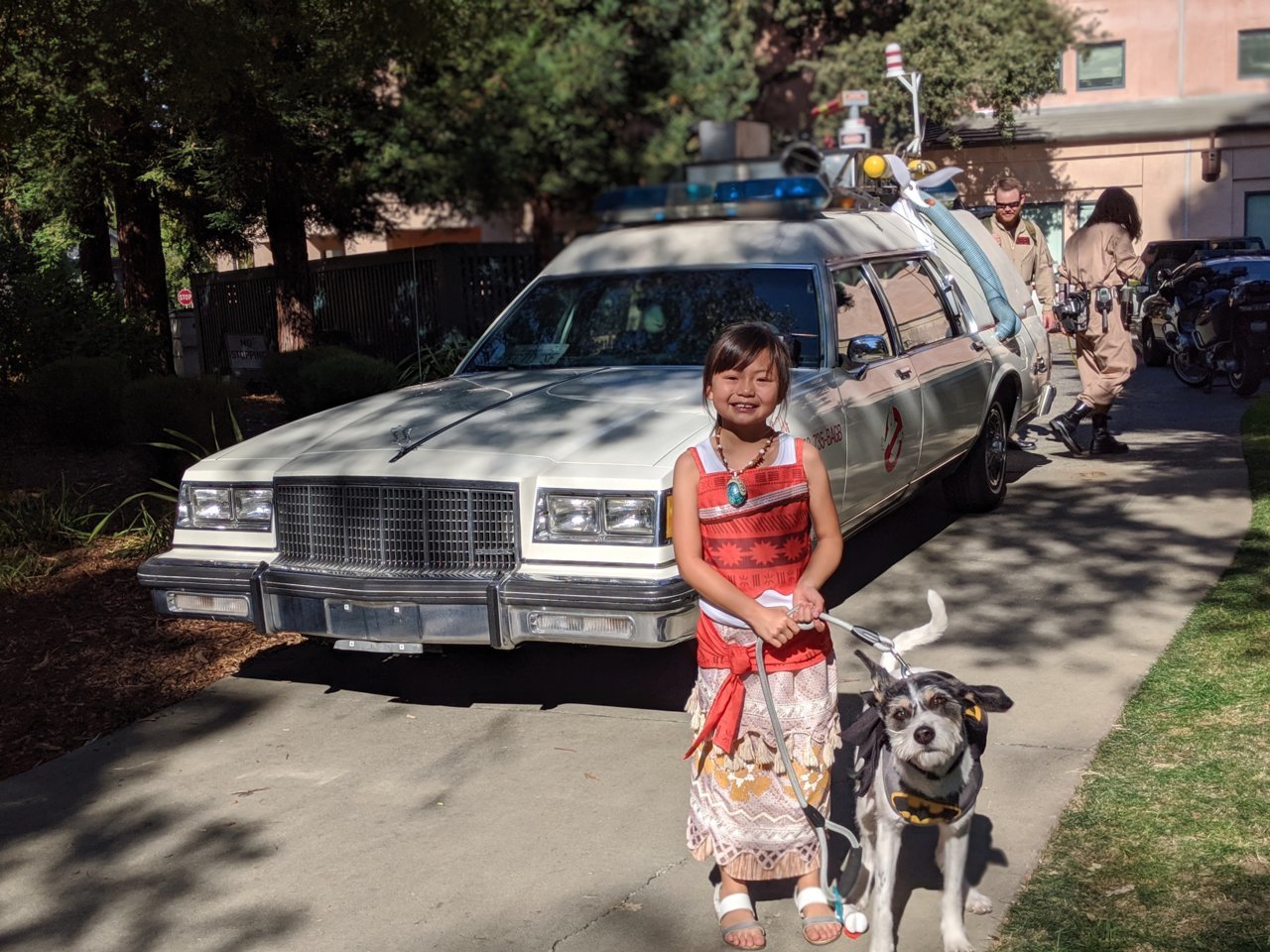 00100dPORTRAIT_00100_BURST20191026141517481_COVER.jpg