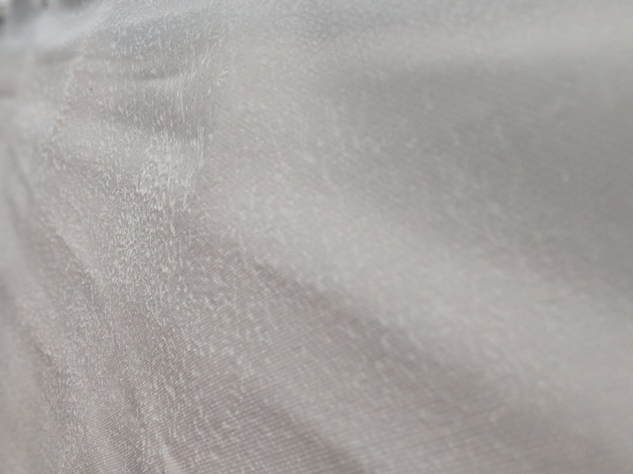 00100lPORTRAIT_00100_BURST20190208064837230_COVER.jpg