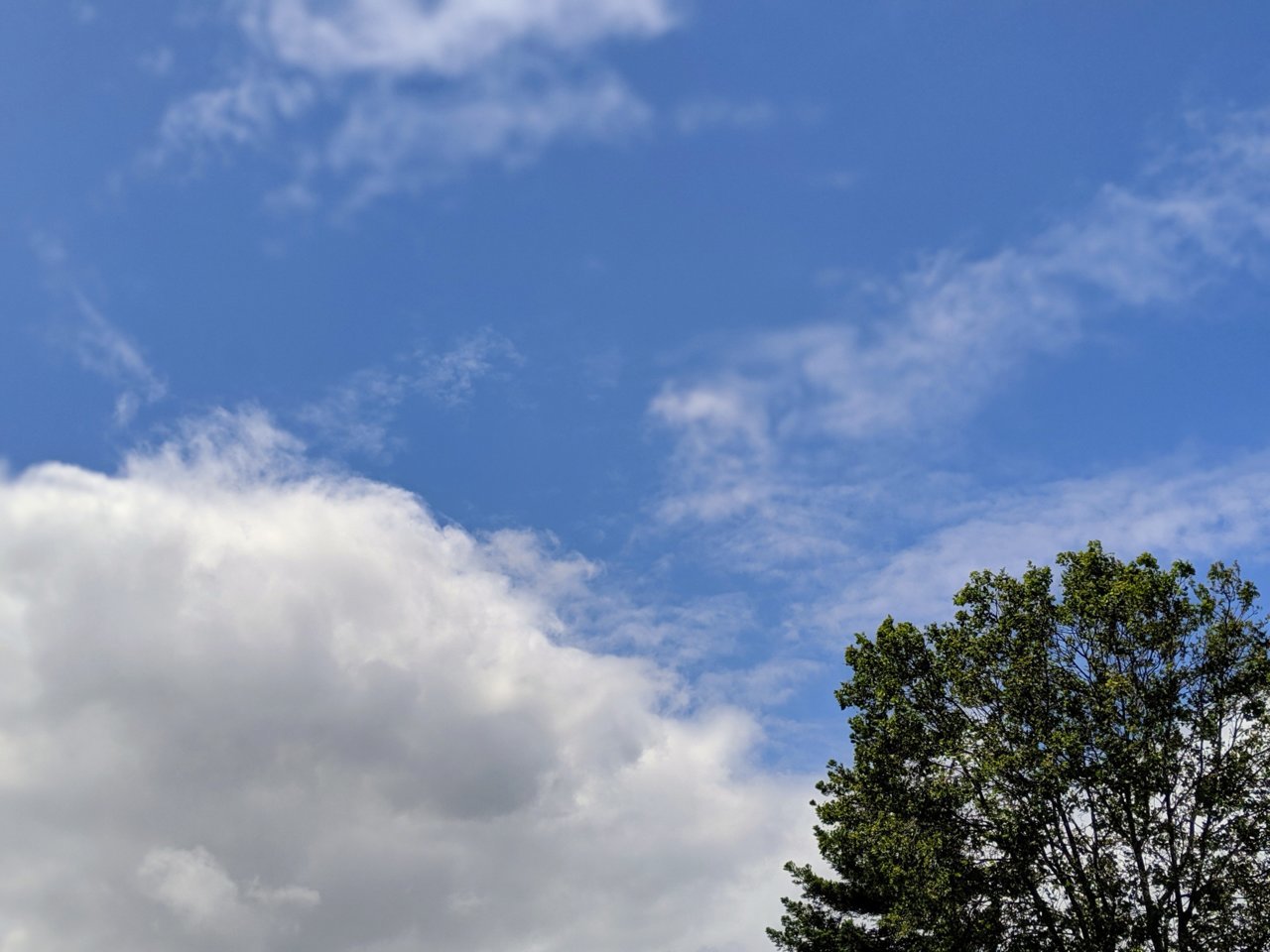00100lPORTRAIT_00100_BURST20190521124322848_COVER.jpg