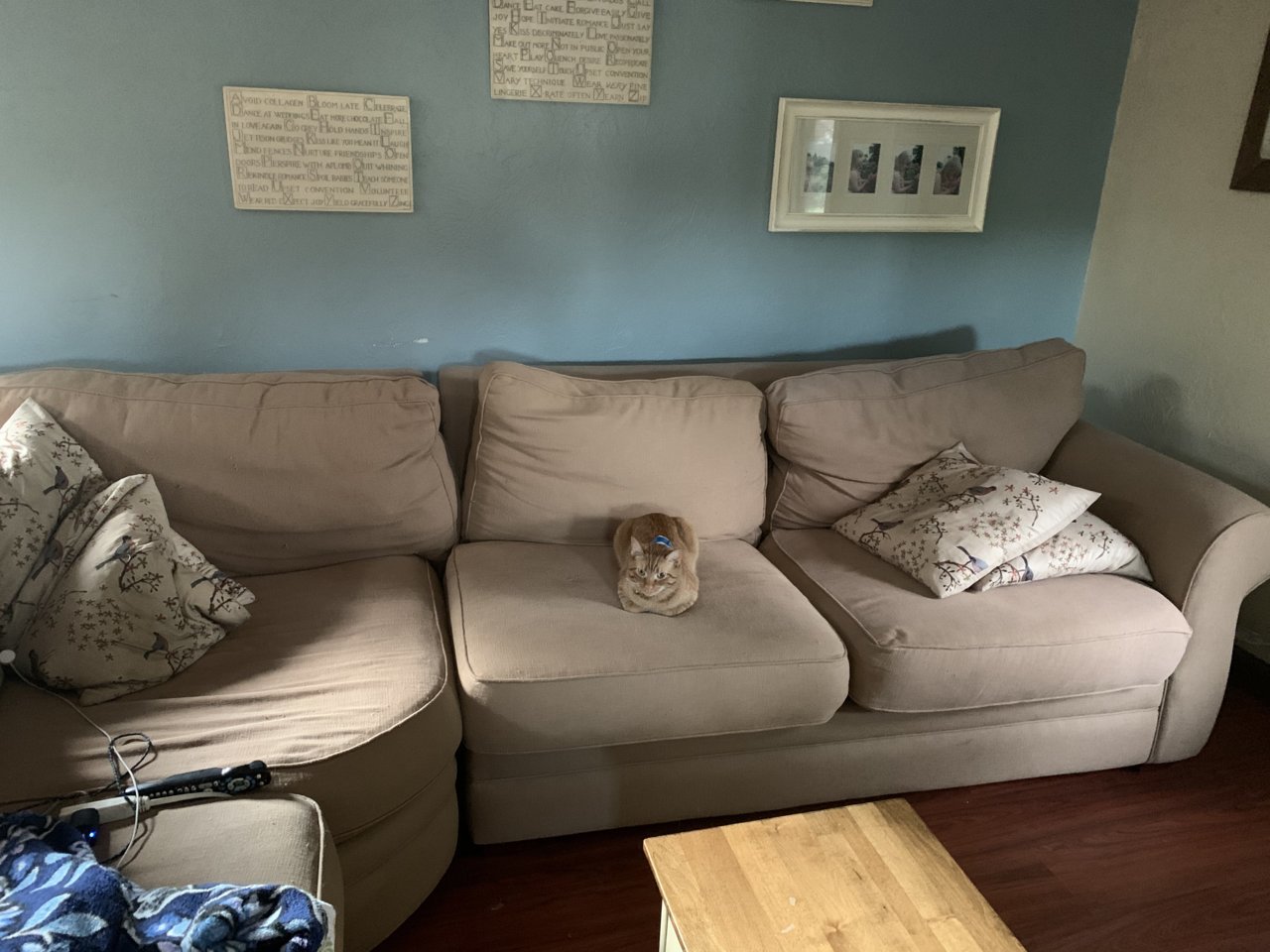 004B63AE-7214-4A51-B885-B2F11A25BAD3.jpg