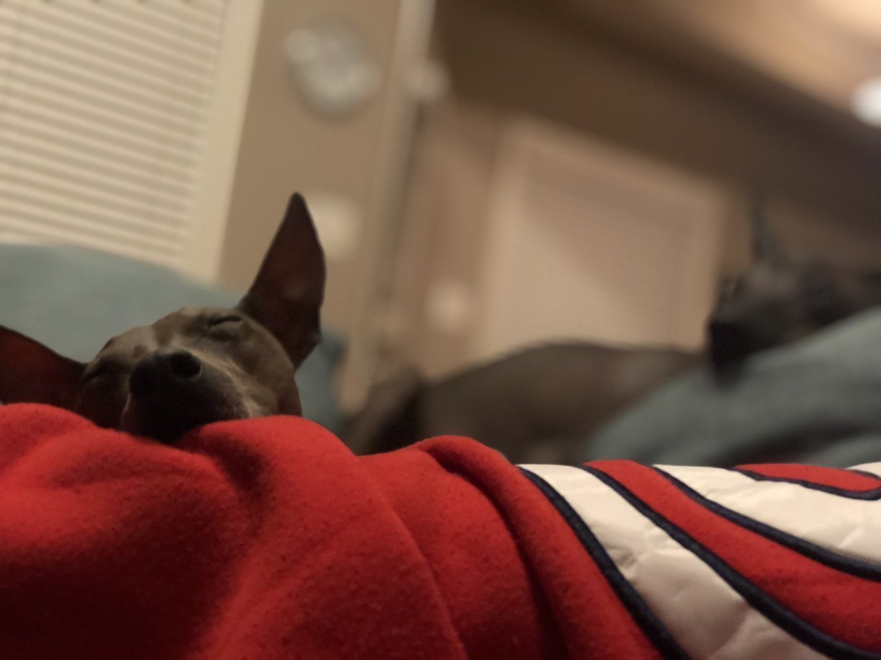 005185AB-D0AA-4212-A169-1AE71C14C3AB.jpg