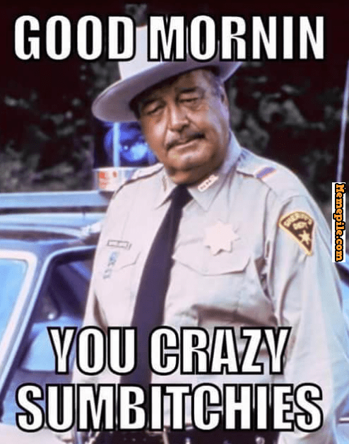 0072eeacd686b3496252959c8658dcbd.png