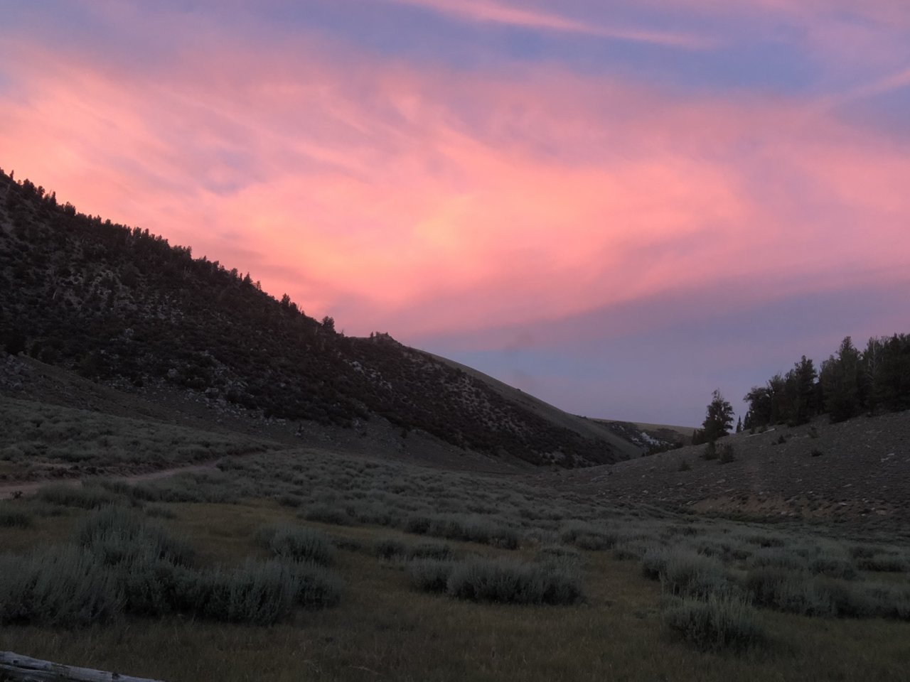 00F7B15B-BDA7-477C-9560-FEFB92B0DFDF.jpg