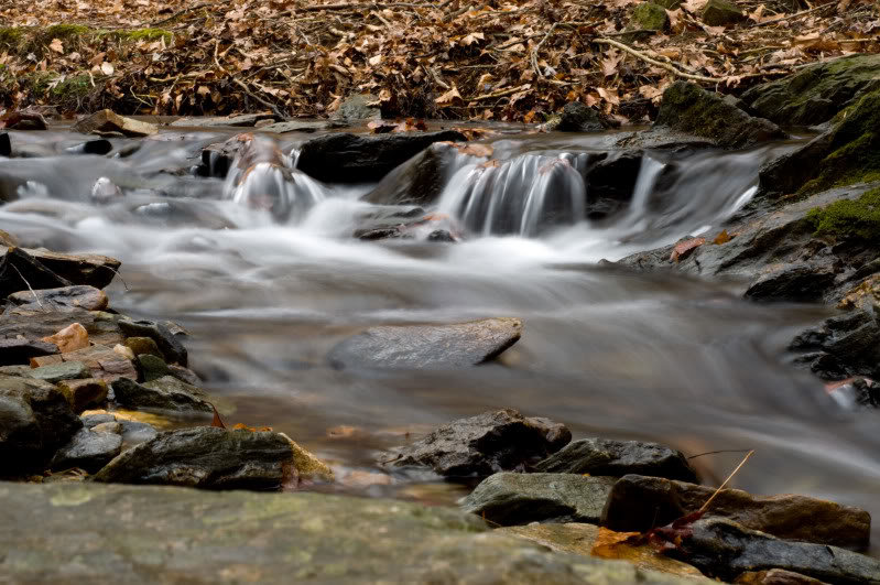 01-02-11_039_60ef6deb53aa55684dab3a9ac5f61cf4f2072e0a.jpg