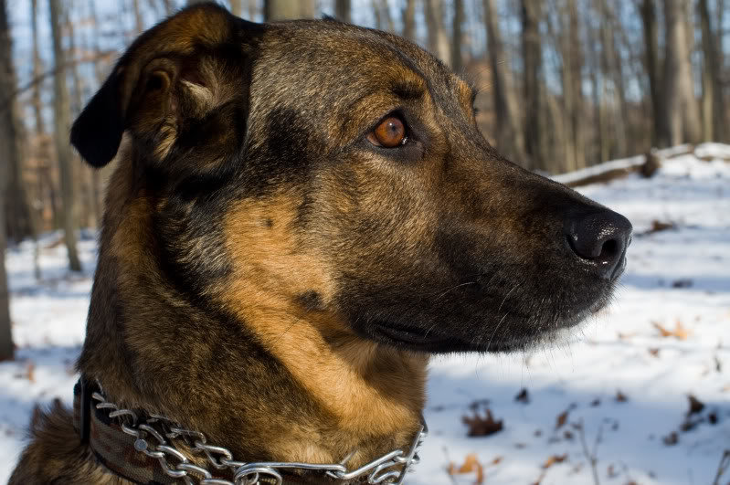 01-13-11_024_9e2a8ee37811edb26bc9598c804b9735c896ebc0.jpg