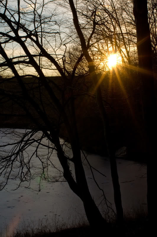 01-21-11_098_71ee959a1c3194575205e83478443c659880b1ed.jpg