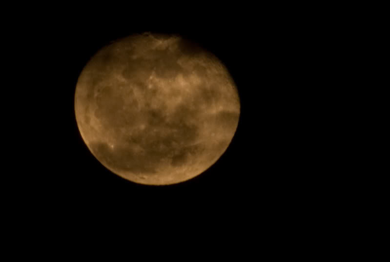 01-21-11_MoonShot_77536df0d5f4d0cb90beae917a22911f471a022c.jpg