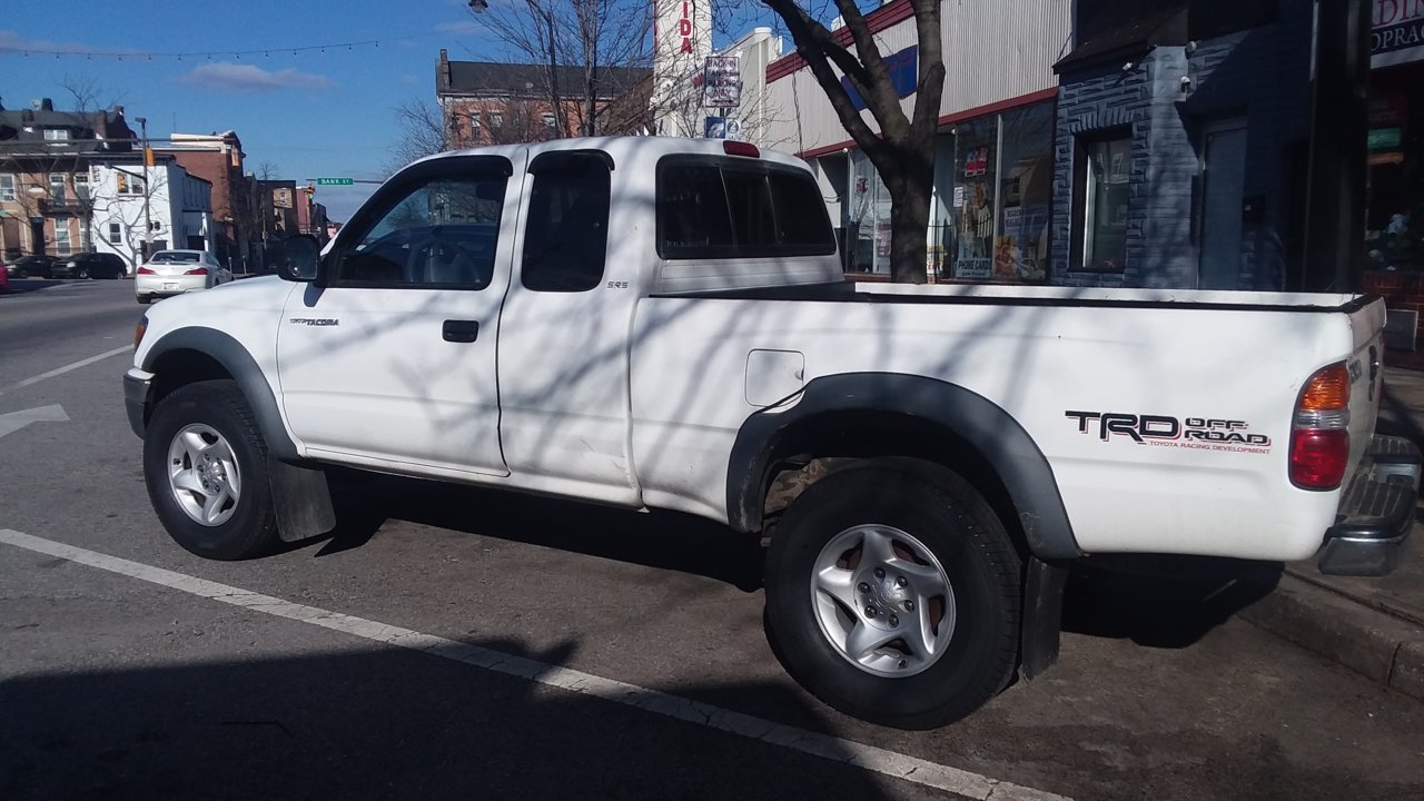 01 Taco.jpg