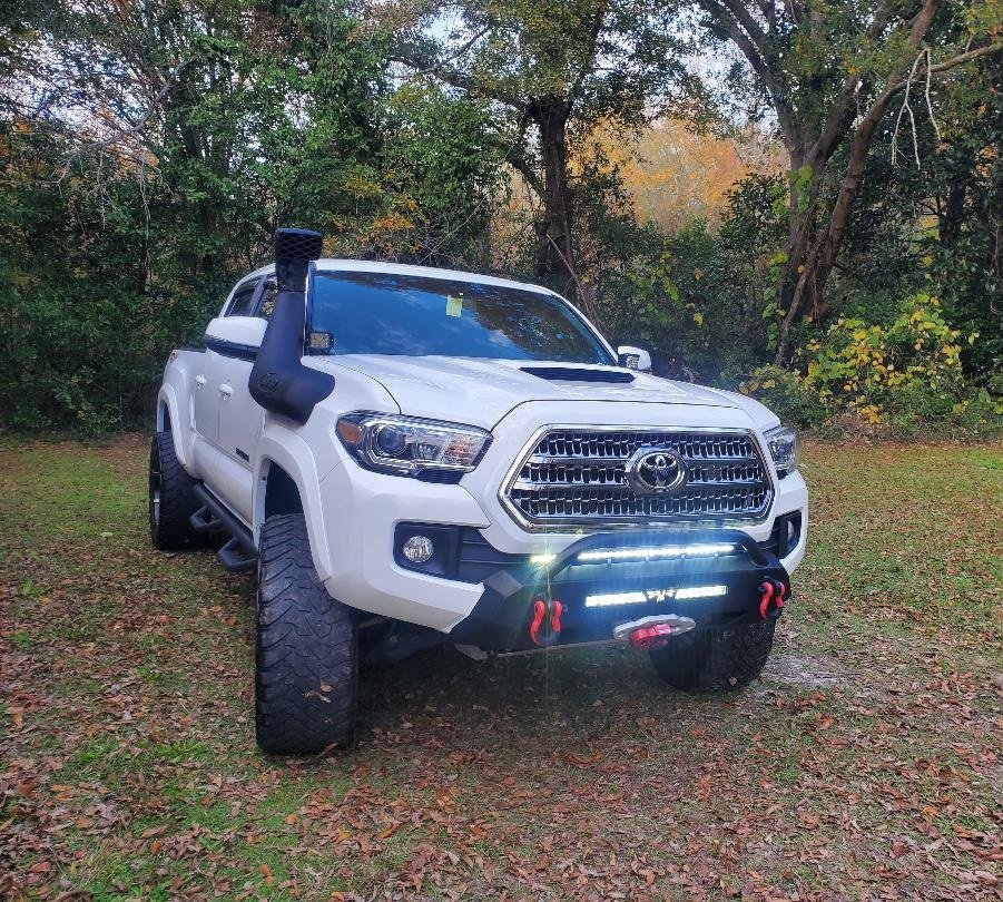 01 Taco.jpg