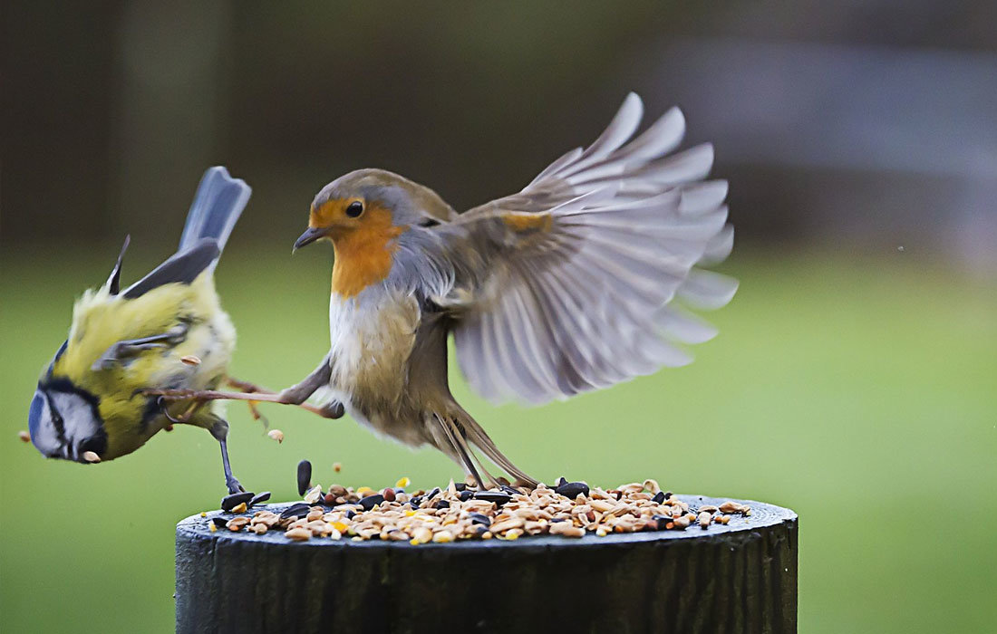 010-this-is-sparta-2130867.jpg