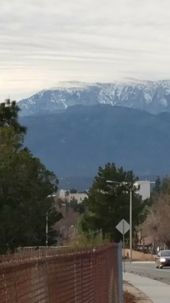 0107171555_optimized.jpg