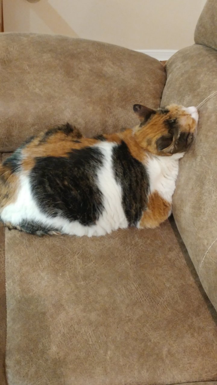0108182318.jpg