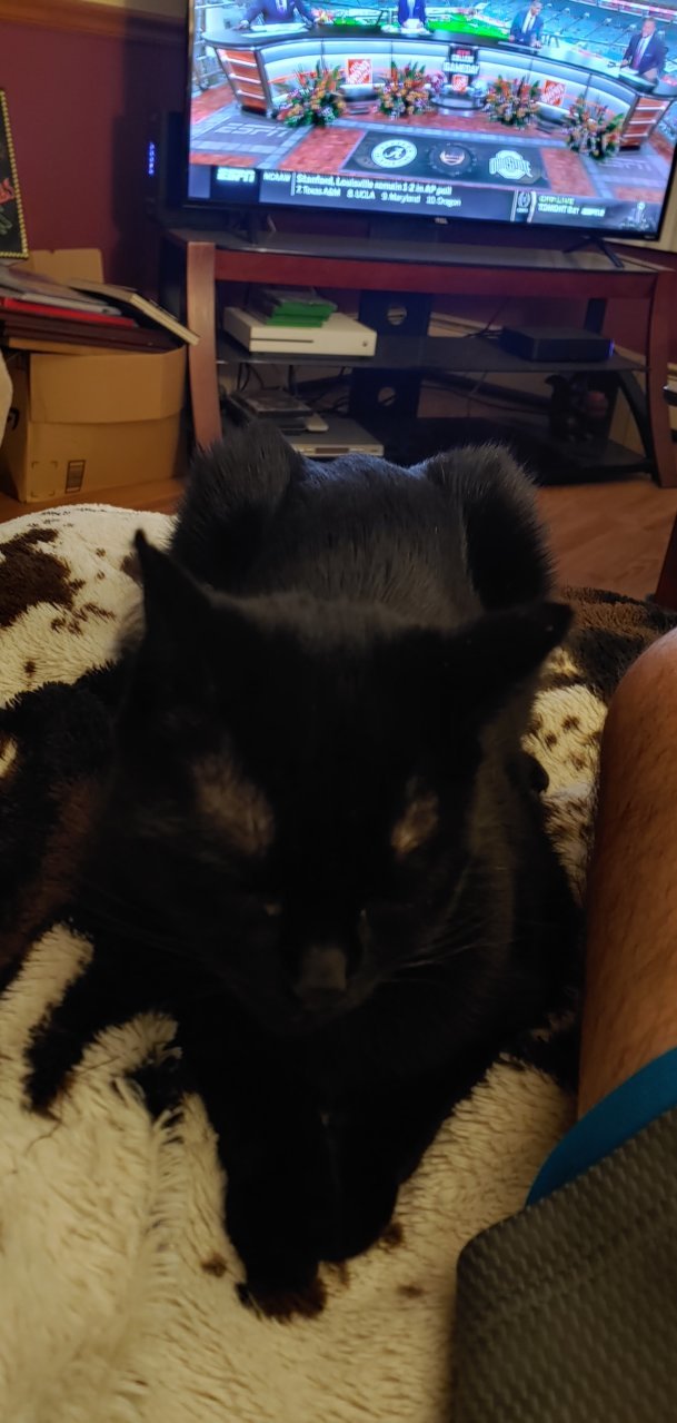 0111211928_HDR.jpg