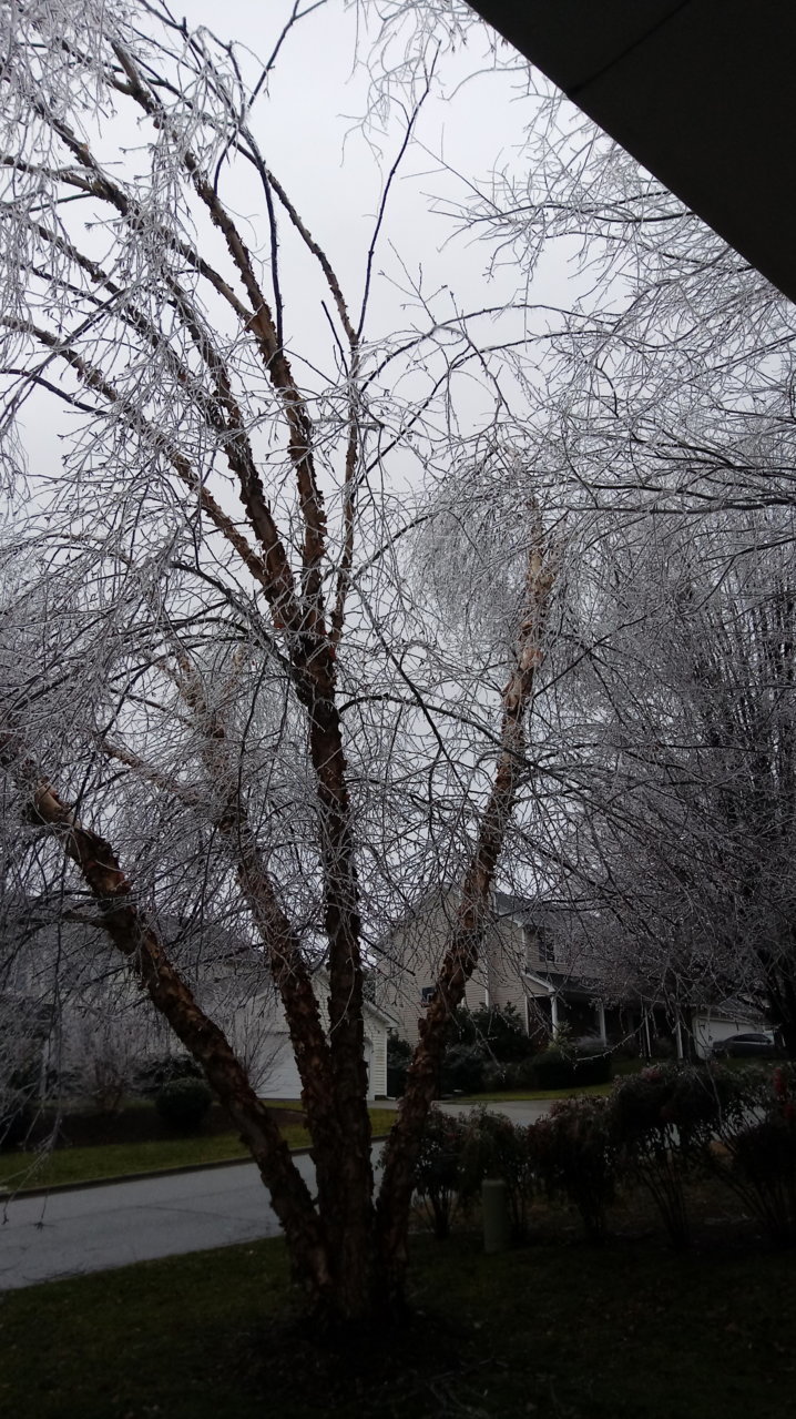 0113191212a.jpg