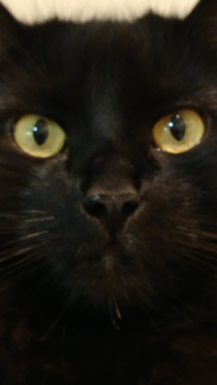 0116181856.jpg