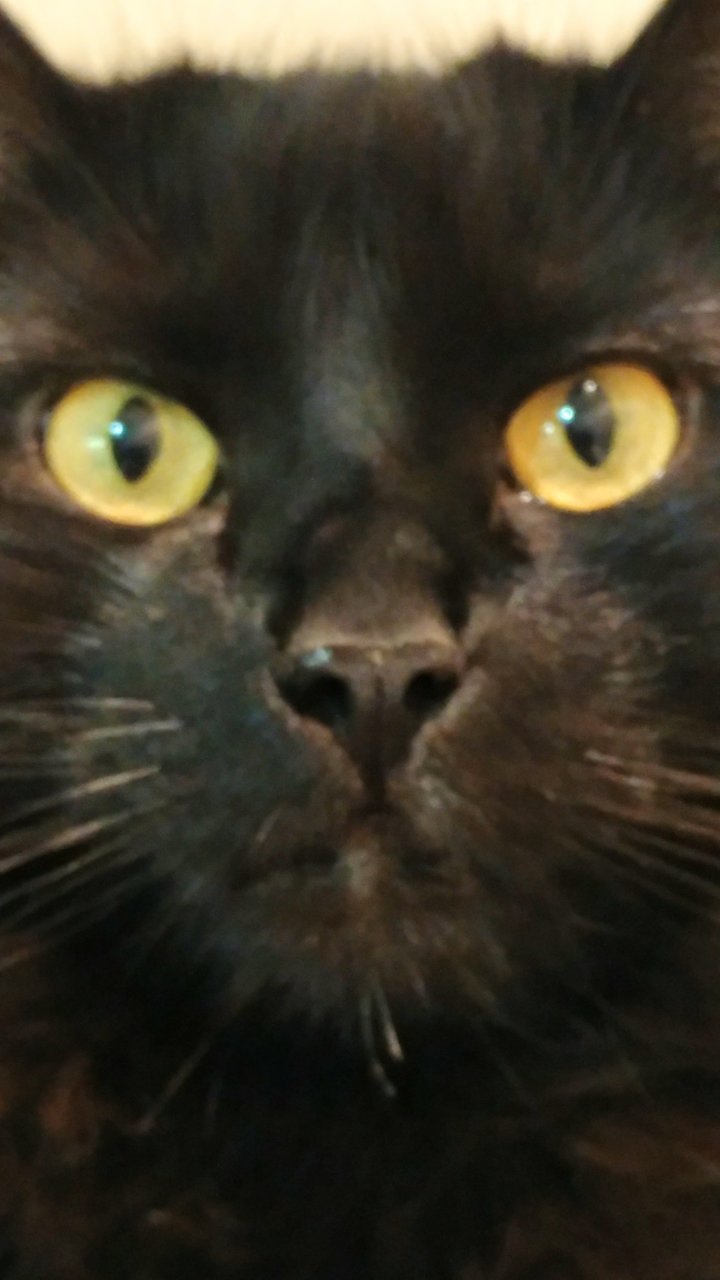 0116181856.jpg