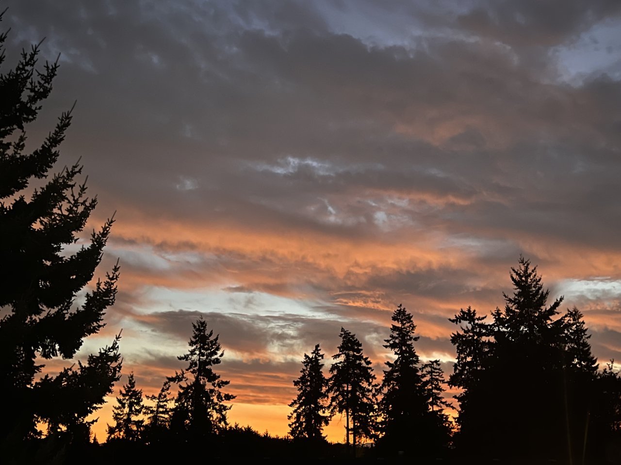 011EF99D-0803-4058-85A6-94C3CB4CE945.jpg