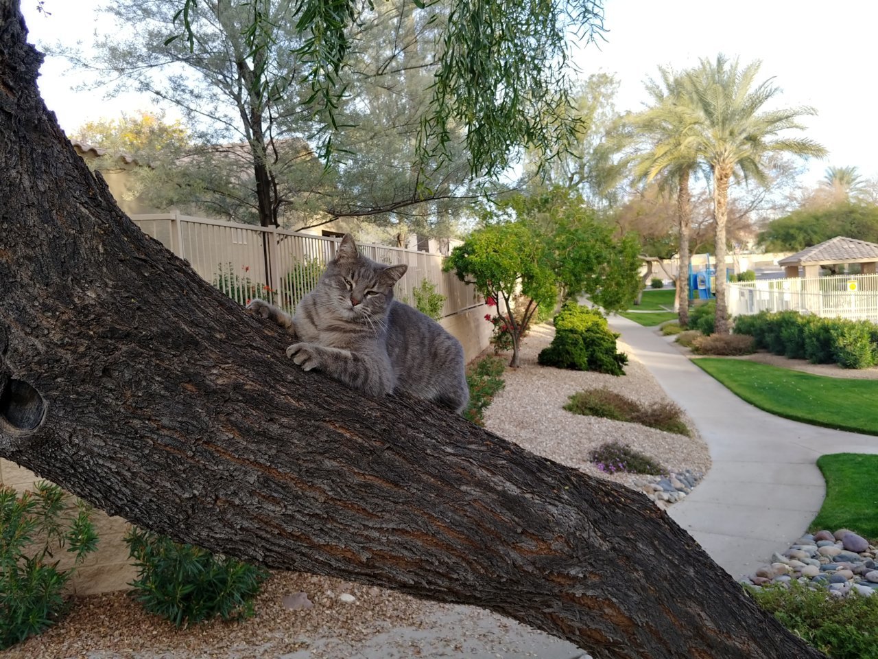 0120191657a_HDR.jpg