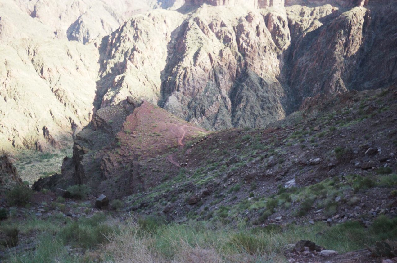 015_11A.jpg