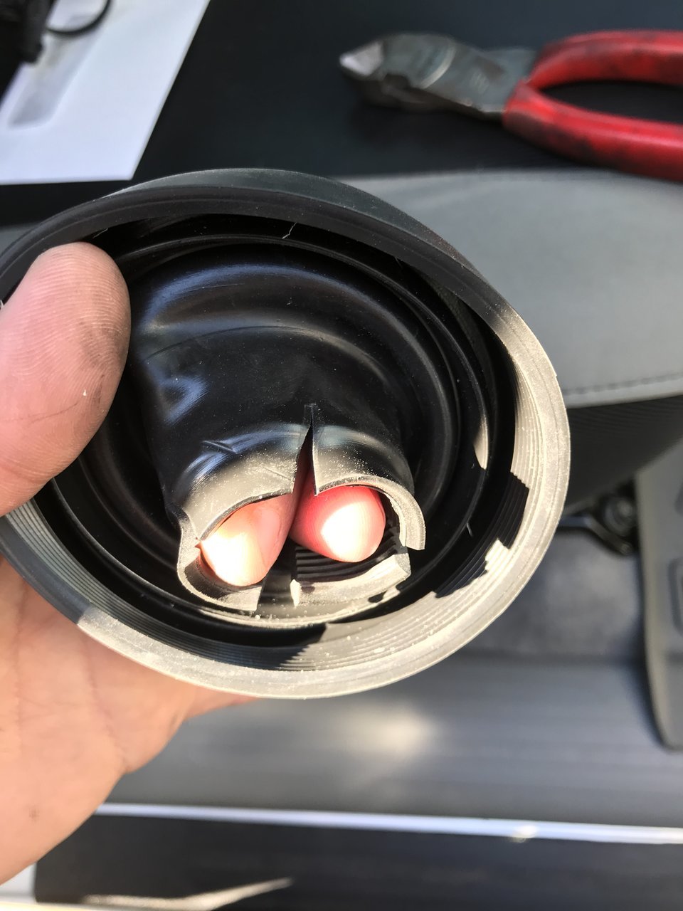 015BE45C-14F8-4DA0-B8DA-CA6125E43F54.jpg