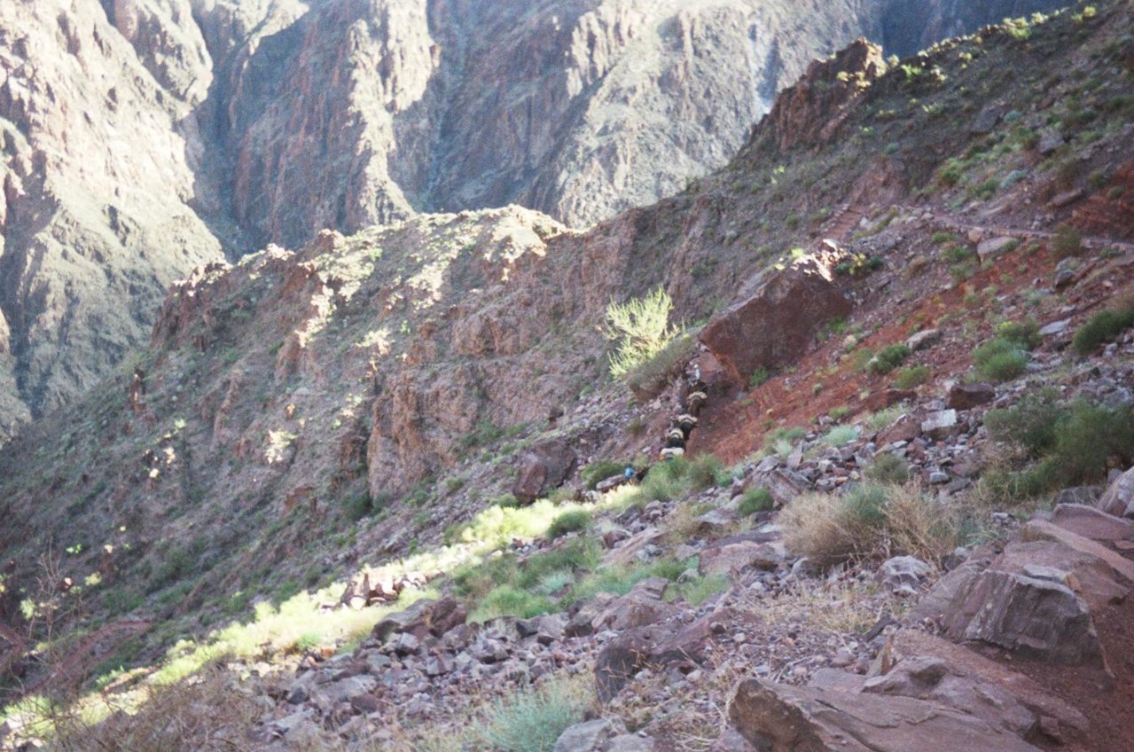 016_10A.jpg