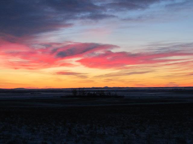 017_93871c9975401ad2c3ee0d0c953f24819a51e995.jpg