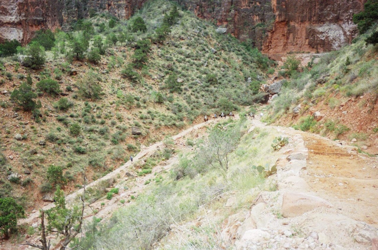 019_8A.jpg
