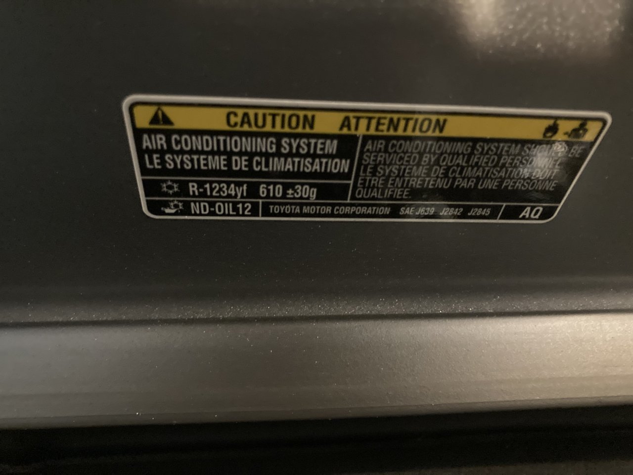 01B3F7D6-AC27-4D8A-AFD5-C11175FECF6F.jpg