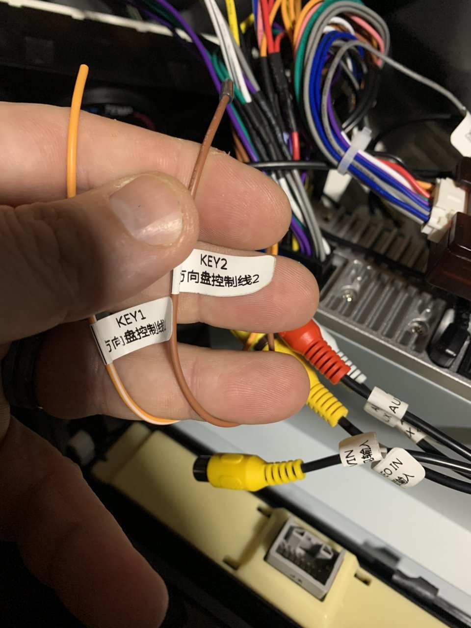 01DEFB5A-4FCC-4237-A8A1-99981664E37E.jpg