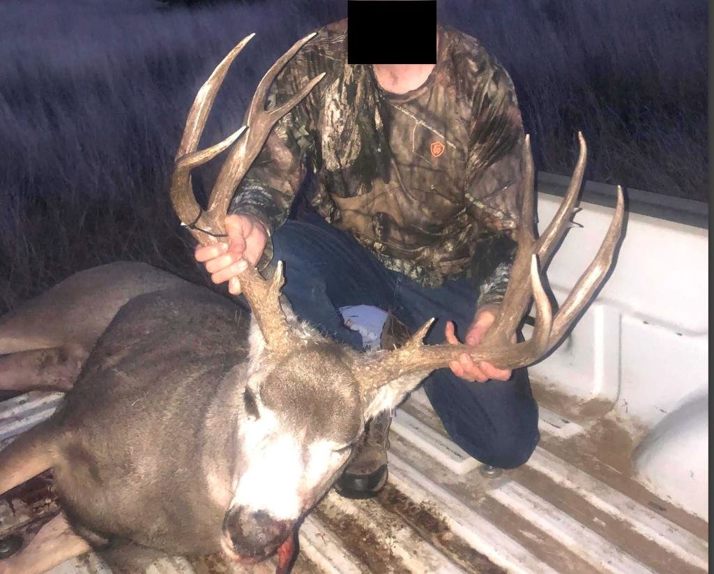 01mulie.jpg