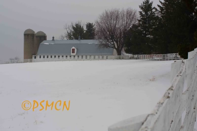 02-01-11_007_7e1235f22799052e3cf57db58ecf80dea99fbca6.jpg