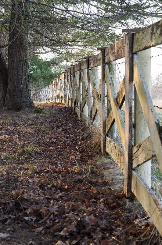 02-18-11_Fence_8e6c647decbb4ba68e7678d4dc8c9e94c3edbca2.jpg