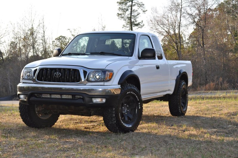 02 Taco.jpg