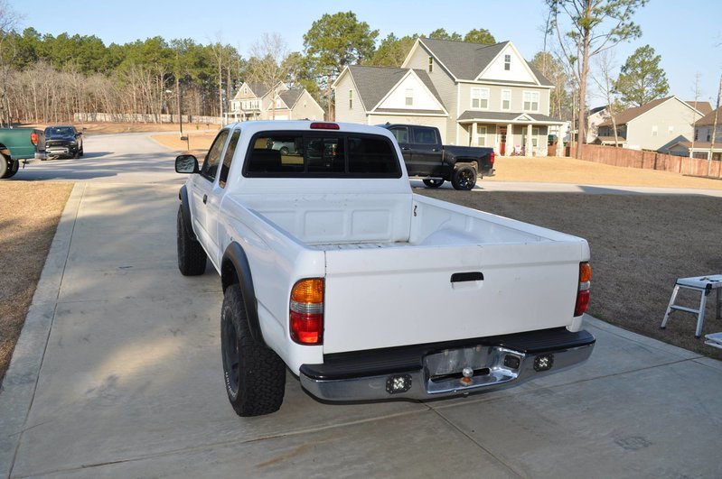 02 Taco rear.jpg