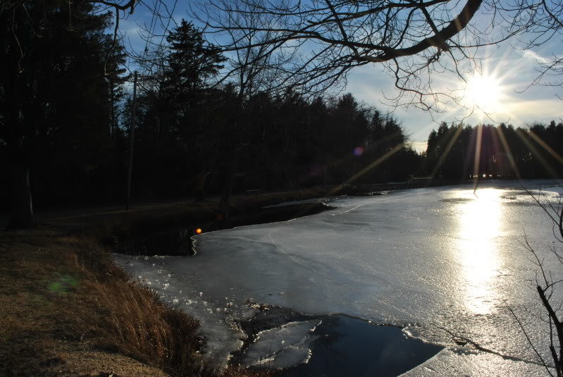 020-4_87b9a9abc367498e157c32e05e3dadb223407668.jpg