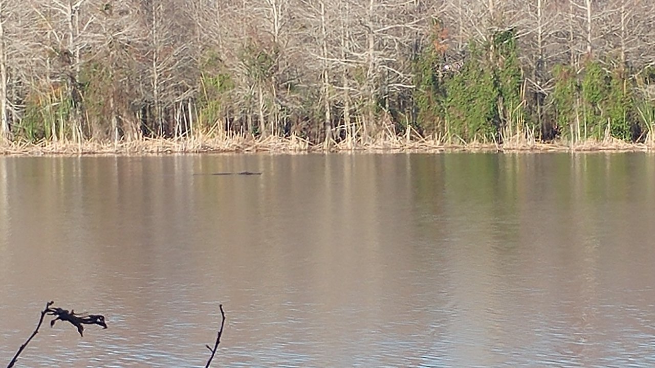 0201190900.jpg