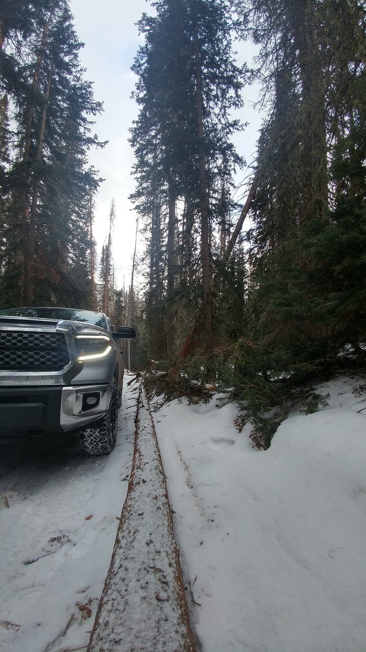 0203180900b_HDR.jpg