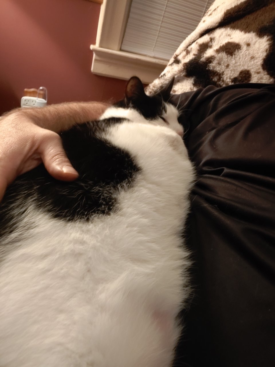 0211212001.jpg