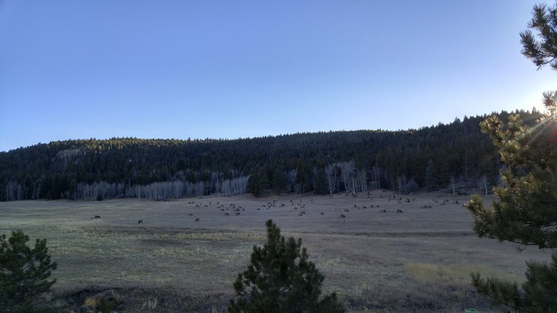 0220171629_HDR.jpg