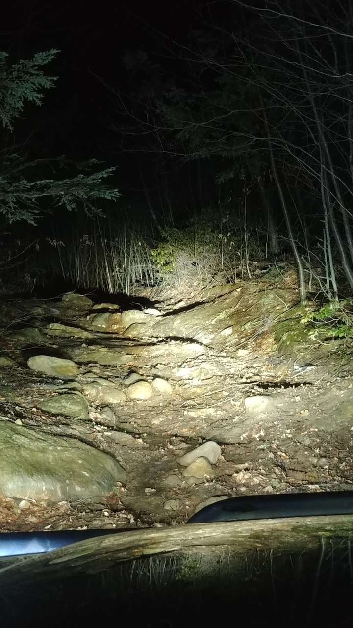 0220182034.jpg