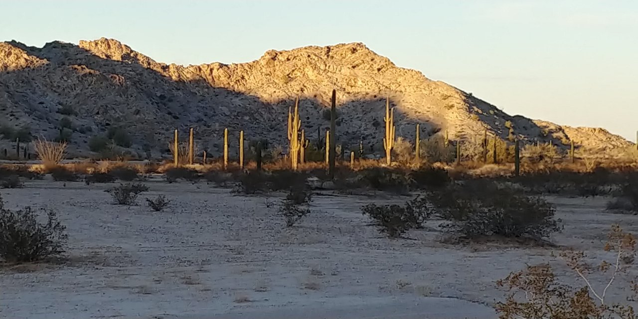 0220221757_HDR.jpg