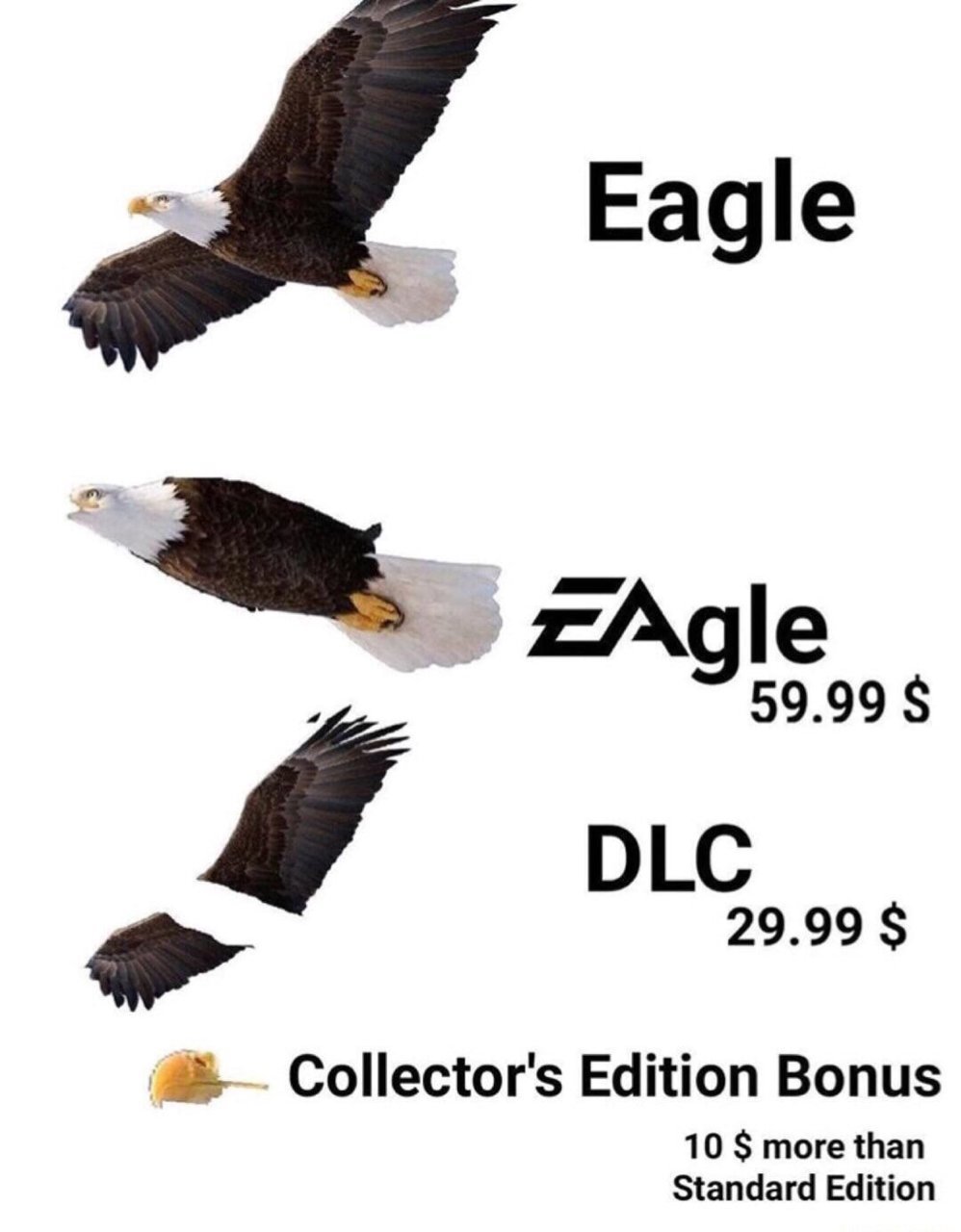 0222ec845ffb52c30f4bef8b8f5e23f5.jpg