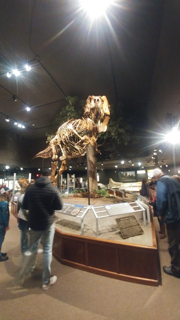 0225231154.jpg