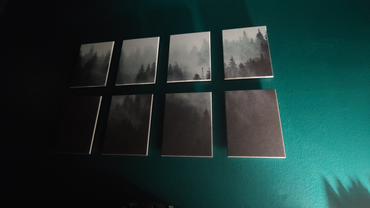 0228232206.jpg