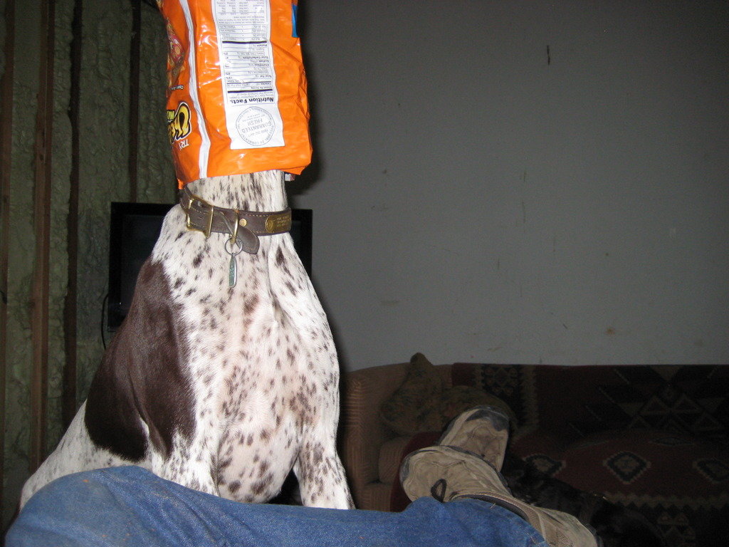 022_zpsvknxvuuc_bca0ee0aa1fa998ca67d88c6b7db4149771822bc.jpg