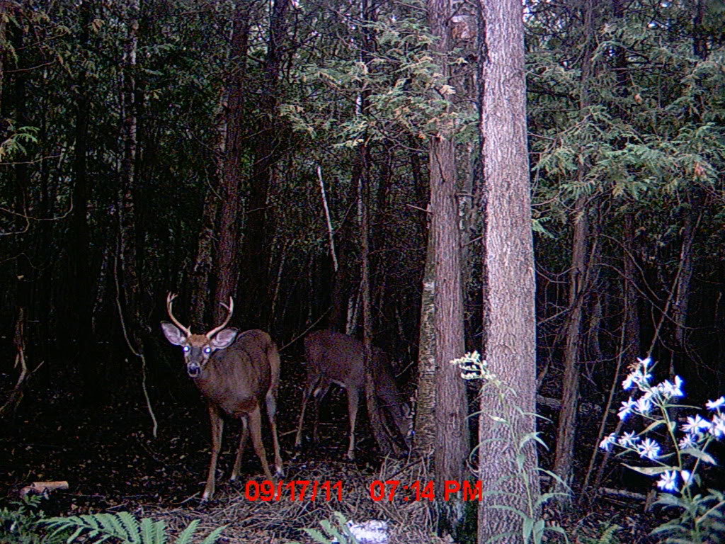 024_2c87df689c4ed4fe00d2f439b4fad1bb3b4be319.jpg